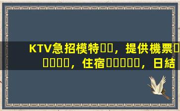 KTV急招模特，提供機票，住宿，日結